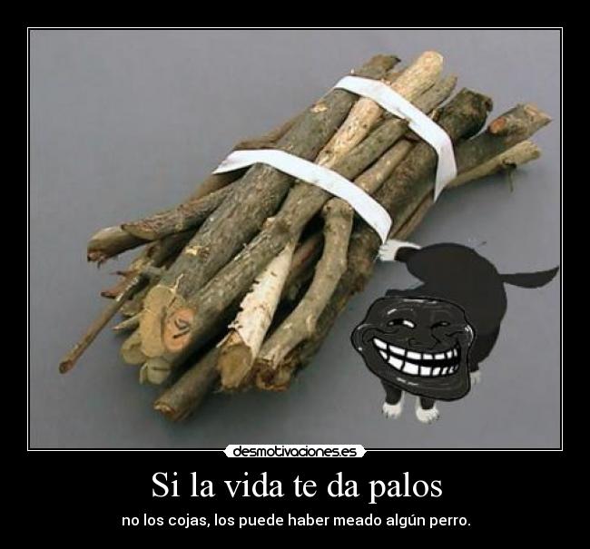 Si la vida te da palos -