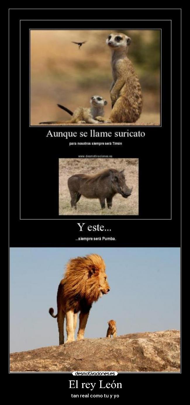El rey León - 