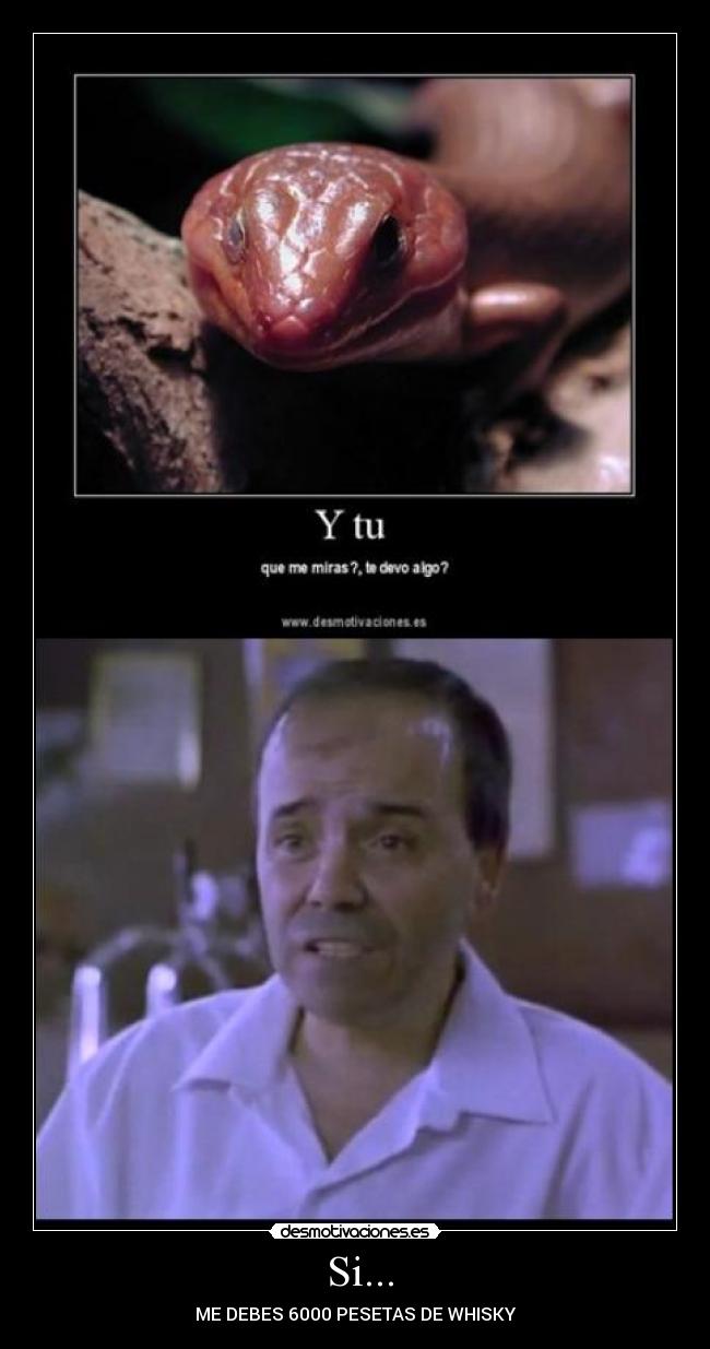 Si... - ME DEBES 6000 PESETAS DE WHISKY