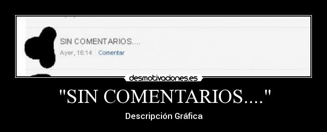 SIN COMENTARIOS.... - Descripción Gráfica