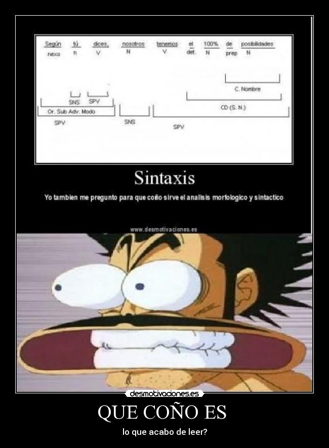 QUE COÑO ES - lo que acabo de leer?