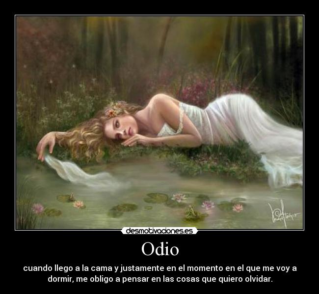 Odio - 