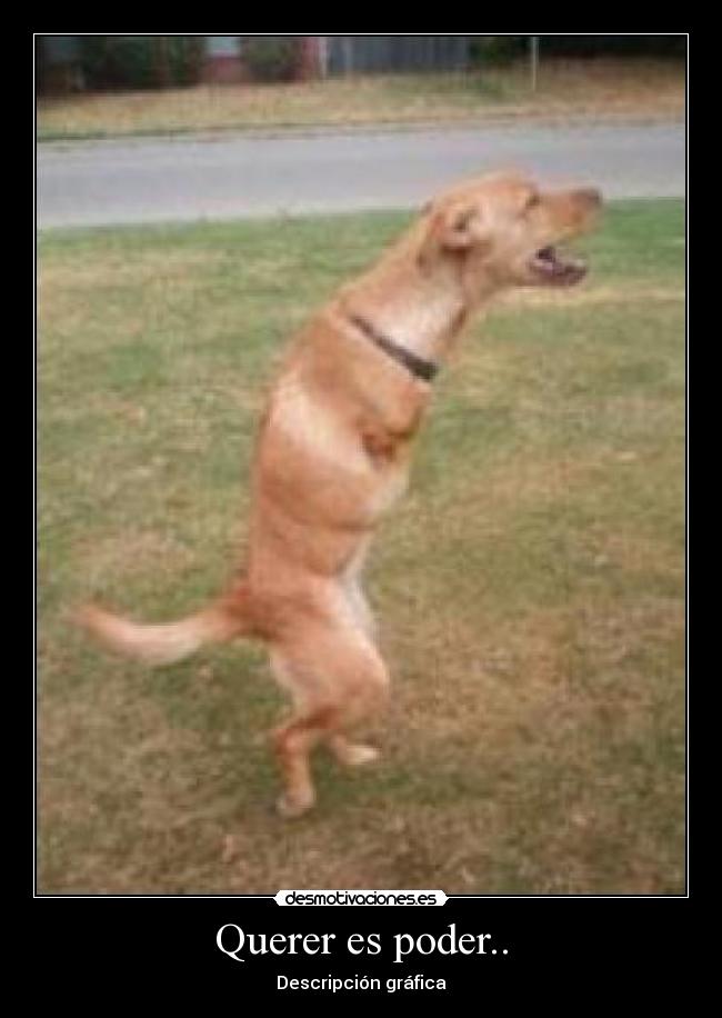 Querer es poder.. -