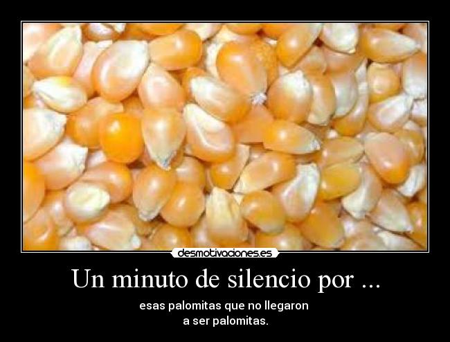 Un minuto de silencio por ... - 