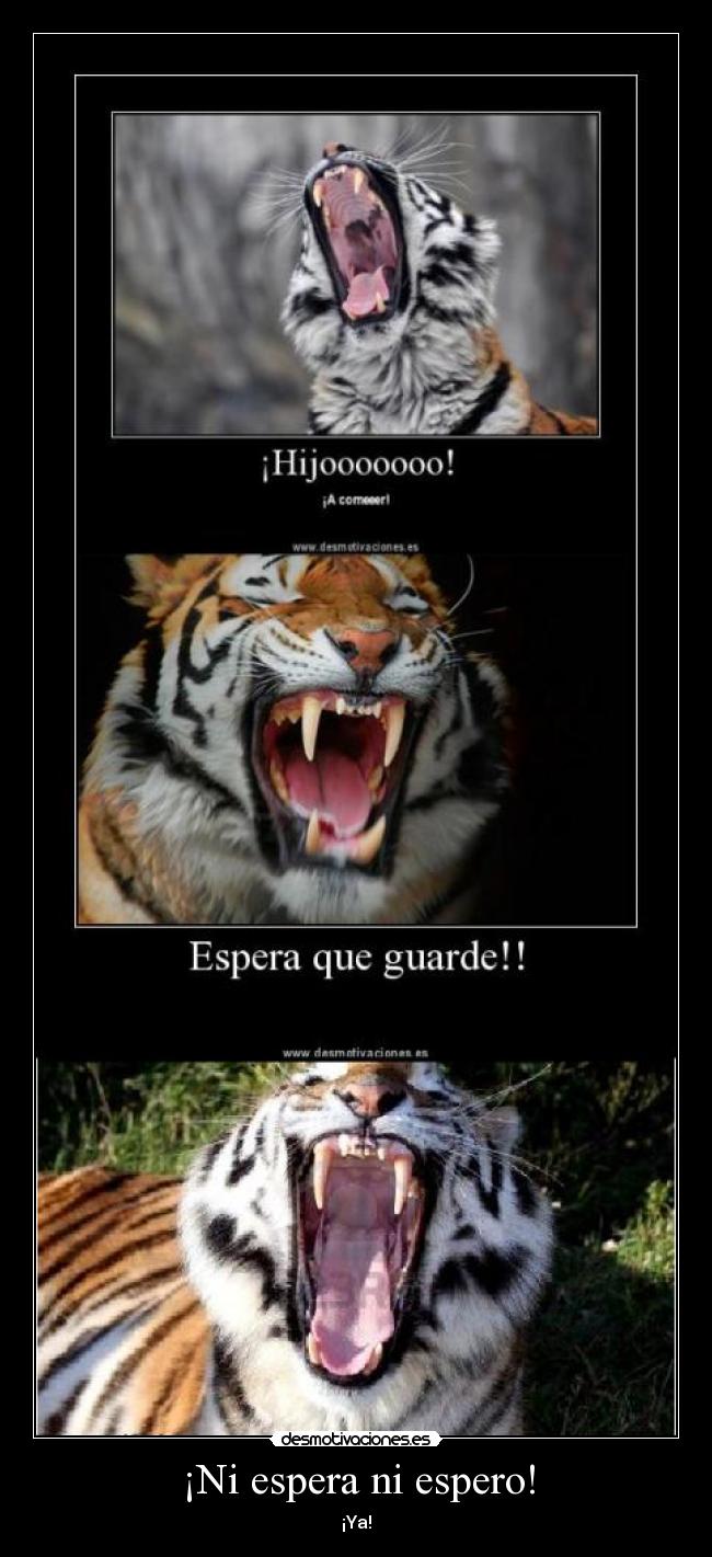 ¡Ni espera ni espero! - ¡Ya!