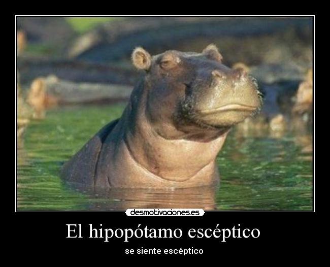 El hipopótamo escéptico - se siente escéptico