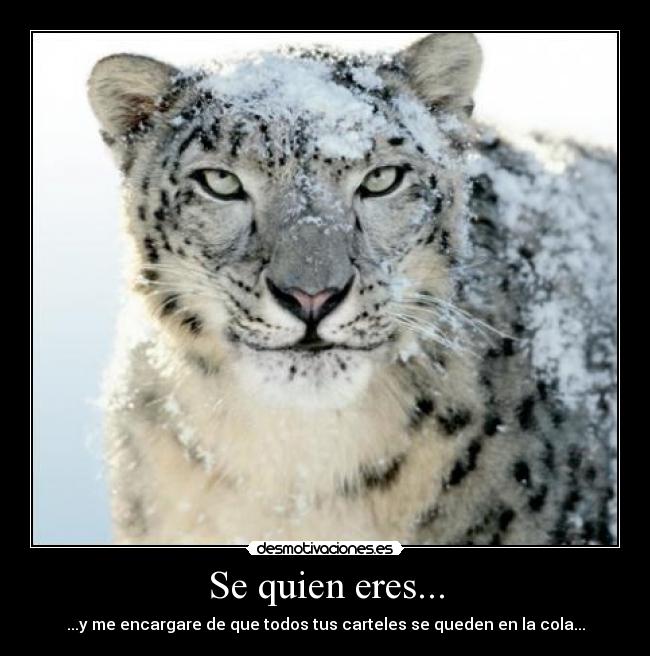 Se quien eres... - ...y me encargare de que todos tus carteles se queden en la cola...