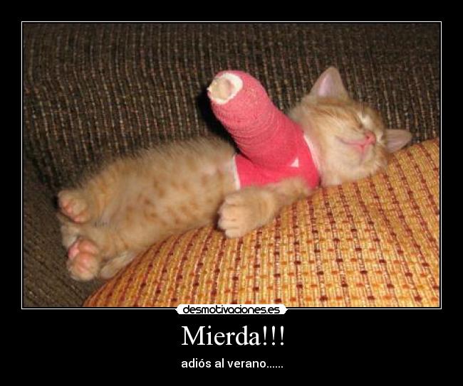 Mierda!!! - adiós al verano......