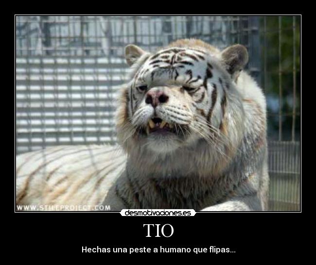 TIO - Hechas una peste a humano que flipas...