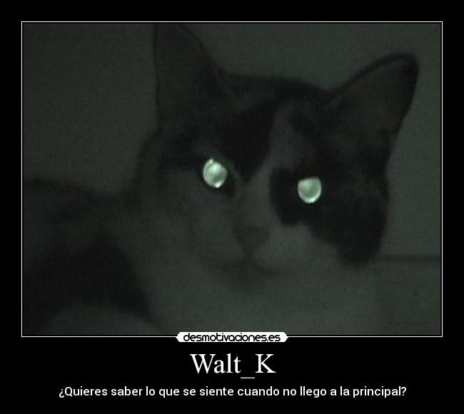 Walt_K - ¿Quieres saber lo que se siente cuando no llego a la principal?