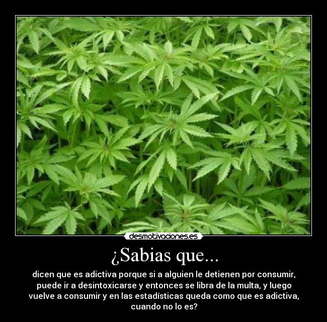 ¿Sabias que... - 