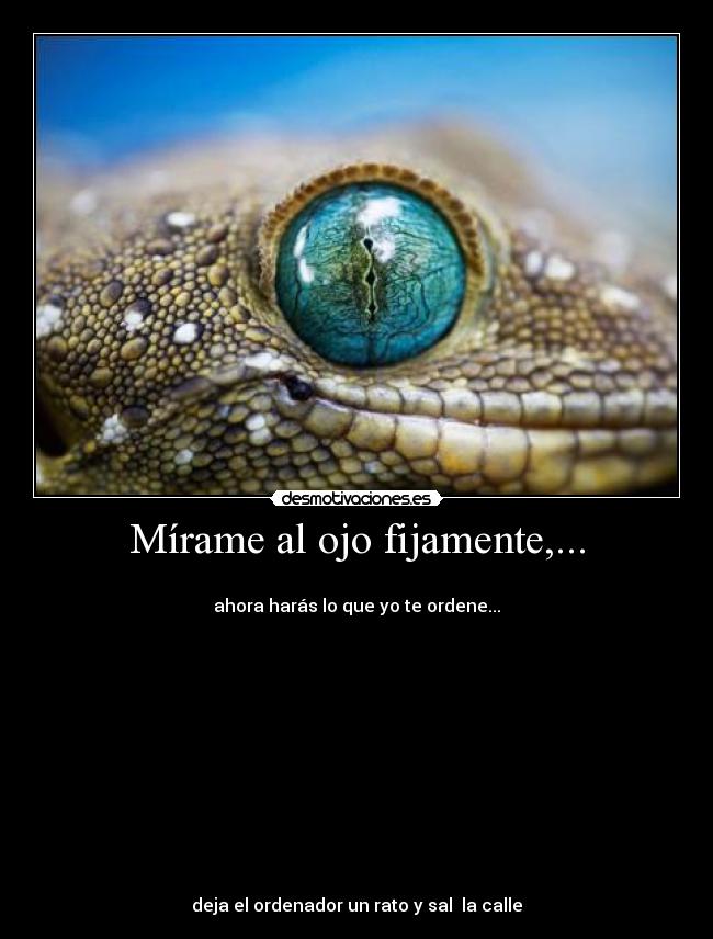 Mírame al ojo fijamente,... - 