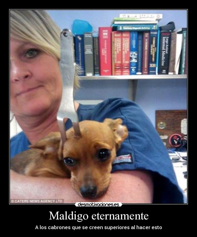 Maldigo eternamente - 