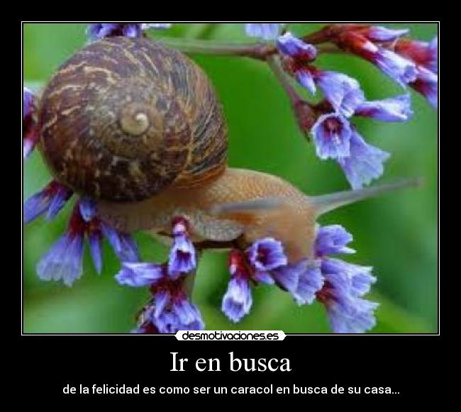Ir en busca -