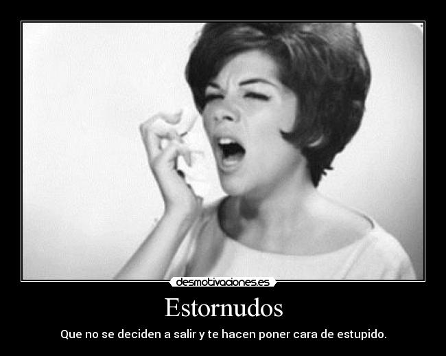 Estornudos - Que no se deciden a salir y te hacen poner cara de estupido.