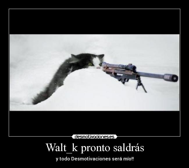 Walt_k pronto saldrás - 