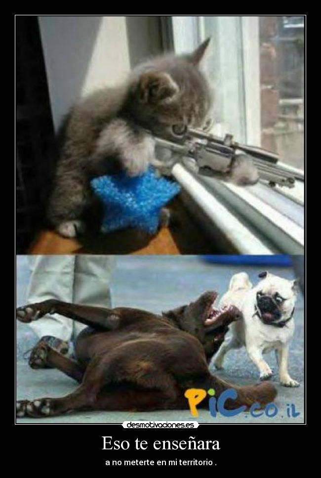 Eso te enseñara - a no meterte en mi territorio .