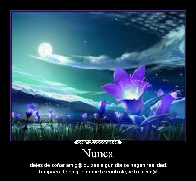 Nunca - 