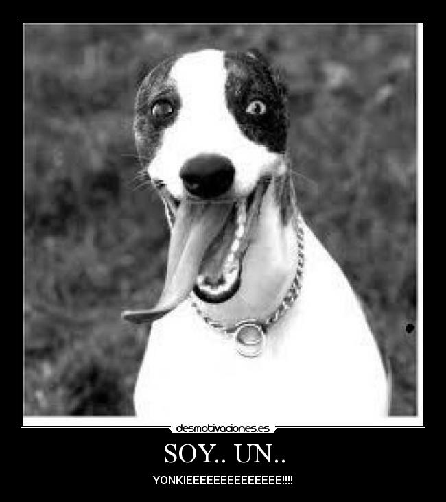 SOY.. UN.. - YONKIEEEEEEEEEEEEEE!!!!