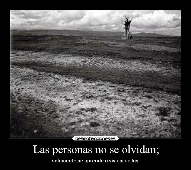 Las personas no se olvidan; - solamente se aprende a vivir sin ellas.