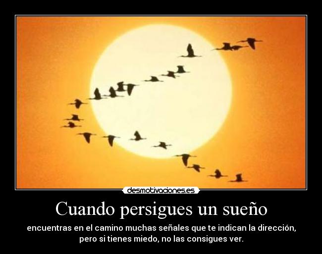 carteles suenos miedo senales amor chuck norris desmotivaciones