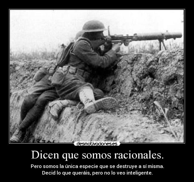 Dicen que somos racionales. -