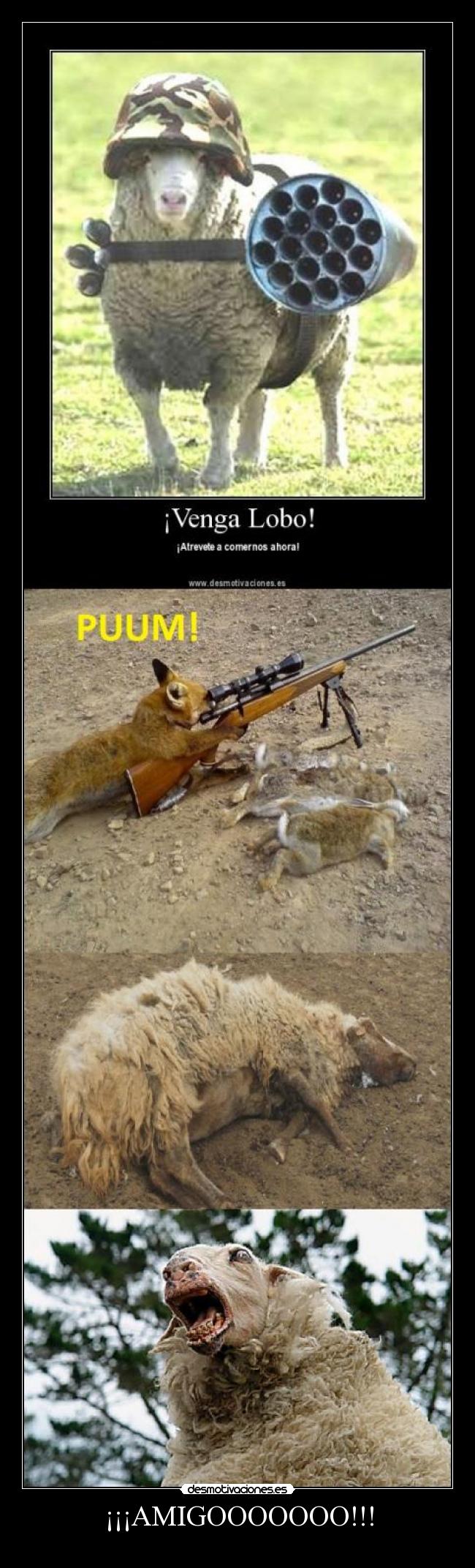 ¡¡¡AMIGOOOOOOO!!! - 