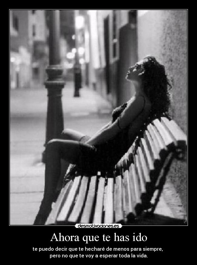 Ahora que te has ido -