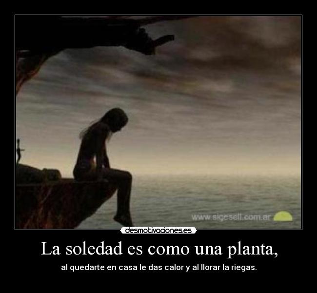 carteles soledad frases desmotivaciones