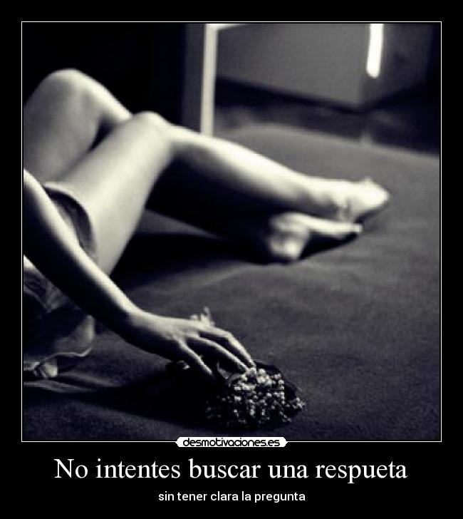 No intentes buscar una respueta - 