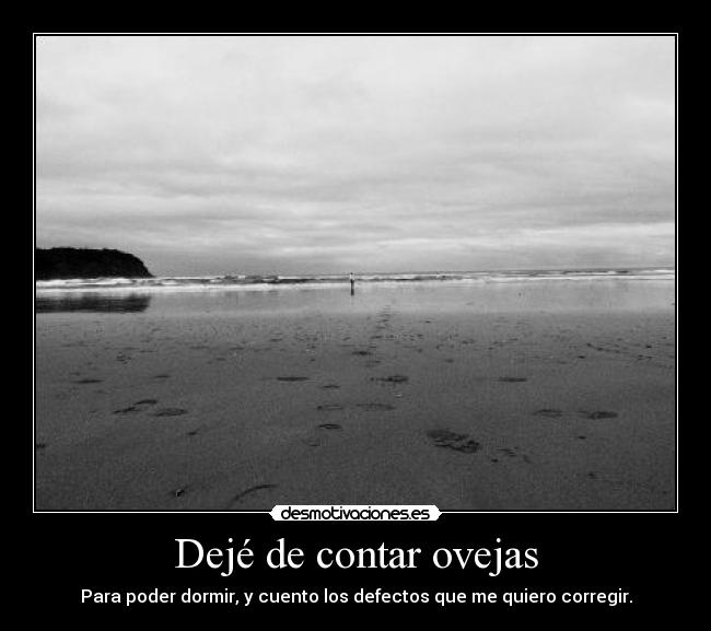 Dejé de contar ovejas -