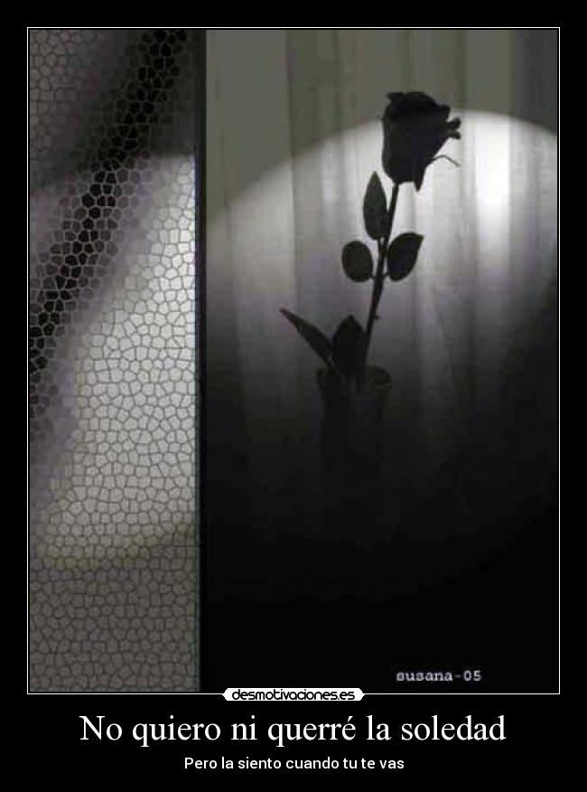 carteles soledad soledad desmotivaciones