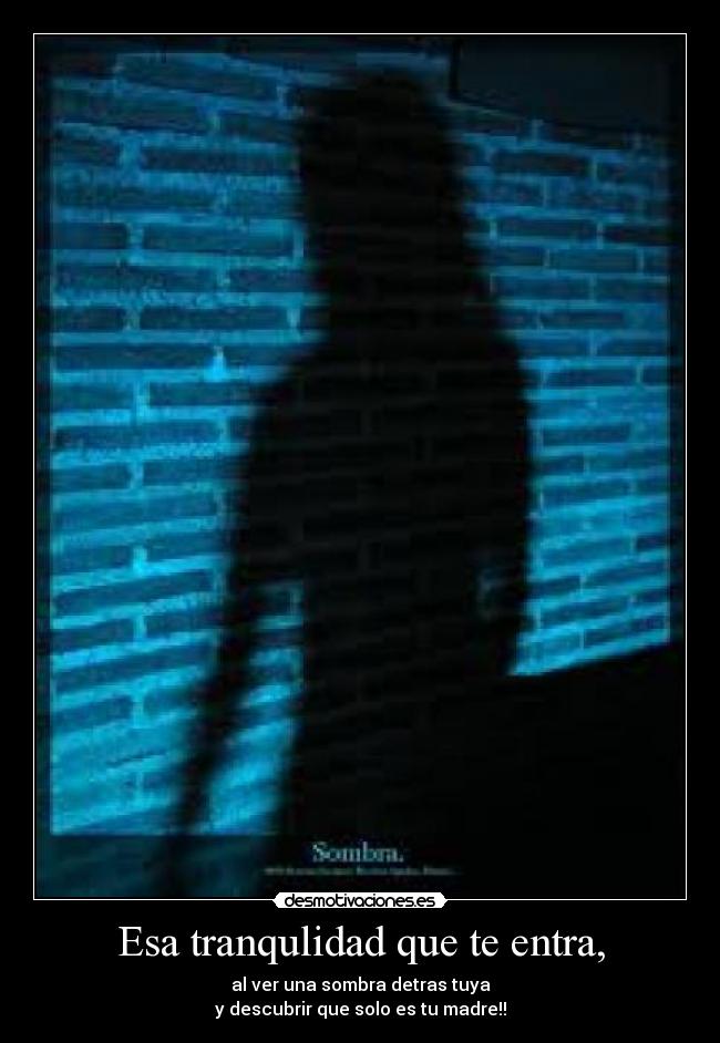 Esa tranqulidad que te entra, - al ver una sombra detras tuya
y descubrir que solo es tu madre!!