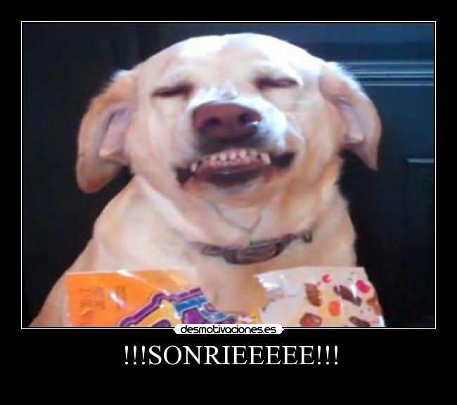 !!!SONRIEEEEE!!! -