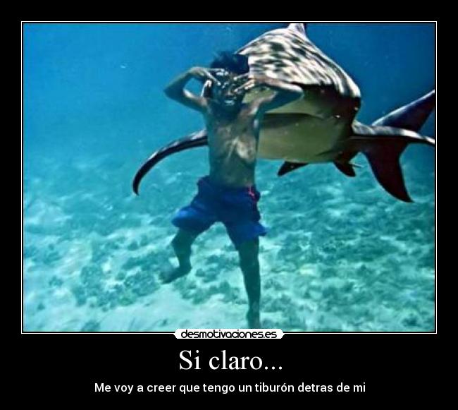 Si claro... -