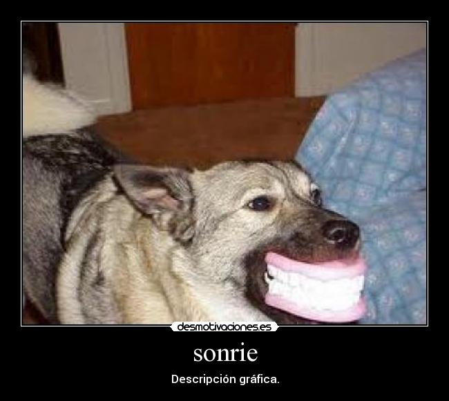 sonrie - 