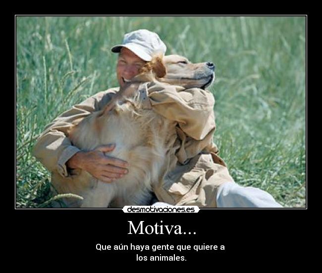 Motiva... - 