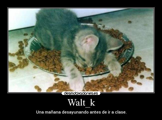 Walt_k -