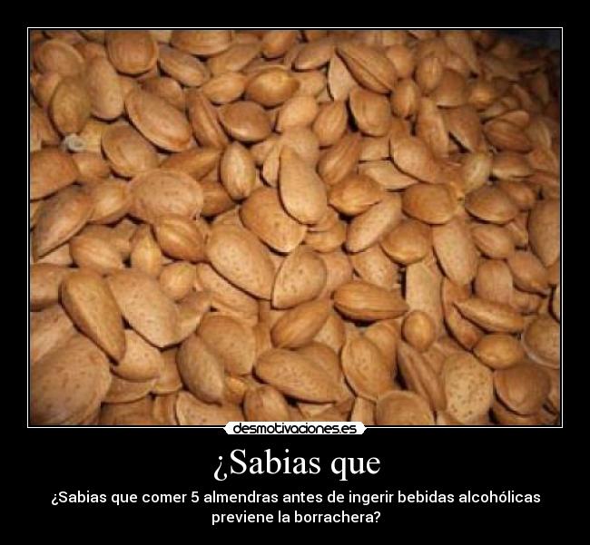 ¿Sabias que - ¿Sabias que comer 5 almendras antes de ingerir bebidas alcohólicas
previene la borrachera?