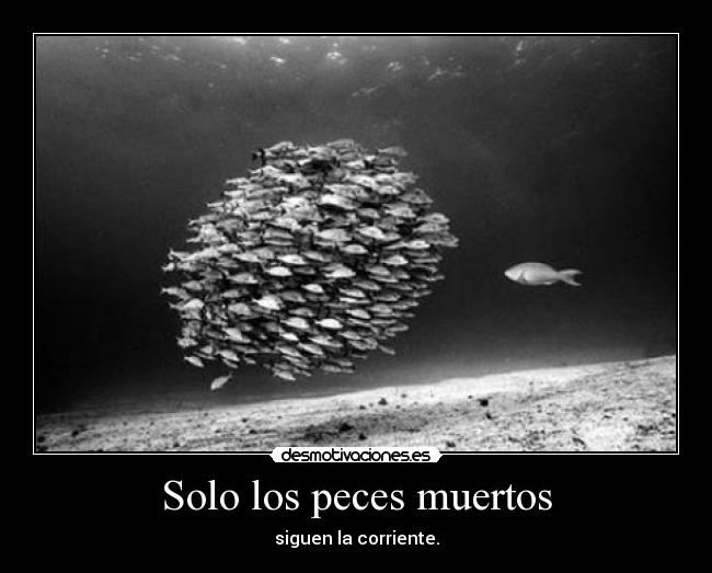 Solo los peces muertos - 