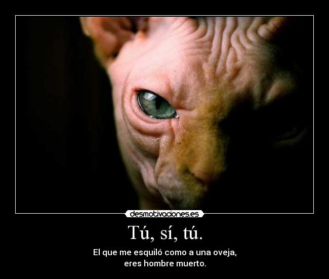 Tú, sí, tú. - El que me esquiló como a una oveja,
eres hombre muerto.