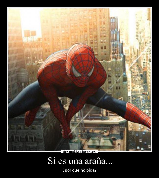 Si es una araña... - 