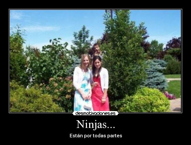 Ninjas... -