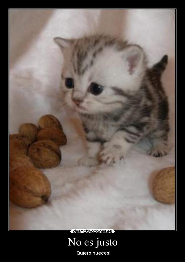 No es justo -