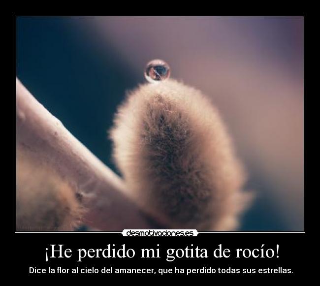 ¡He perdido mi gotita de rocío! - Dice la flor al cielo del amanecer, que ha perdido todas sus estrellas.