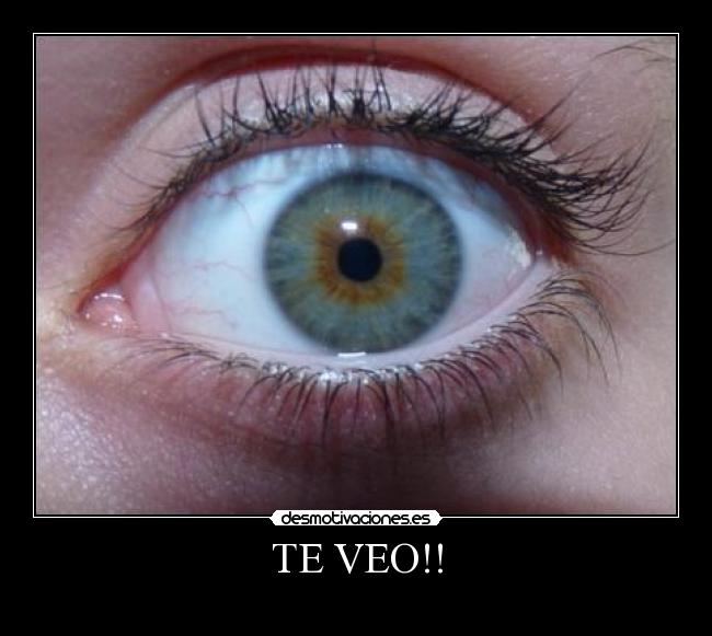 TE VEO!! - 