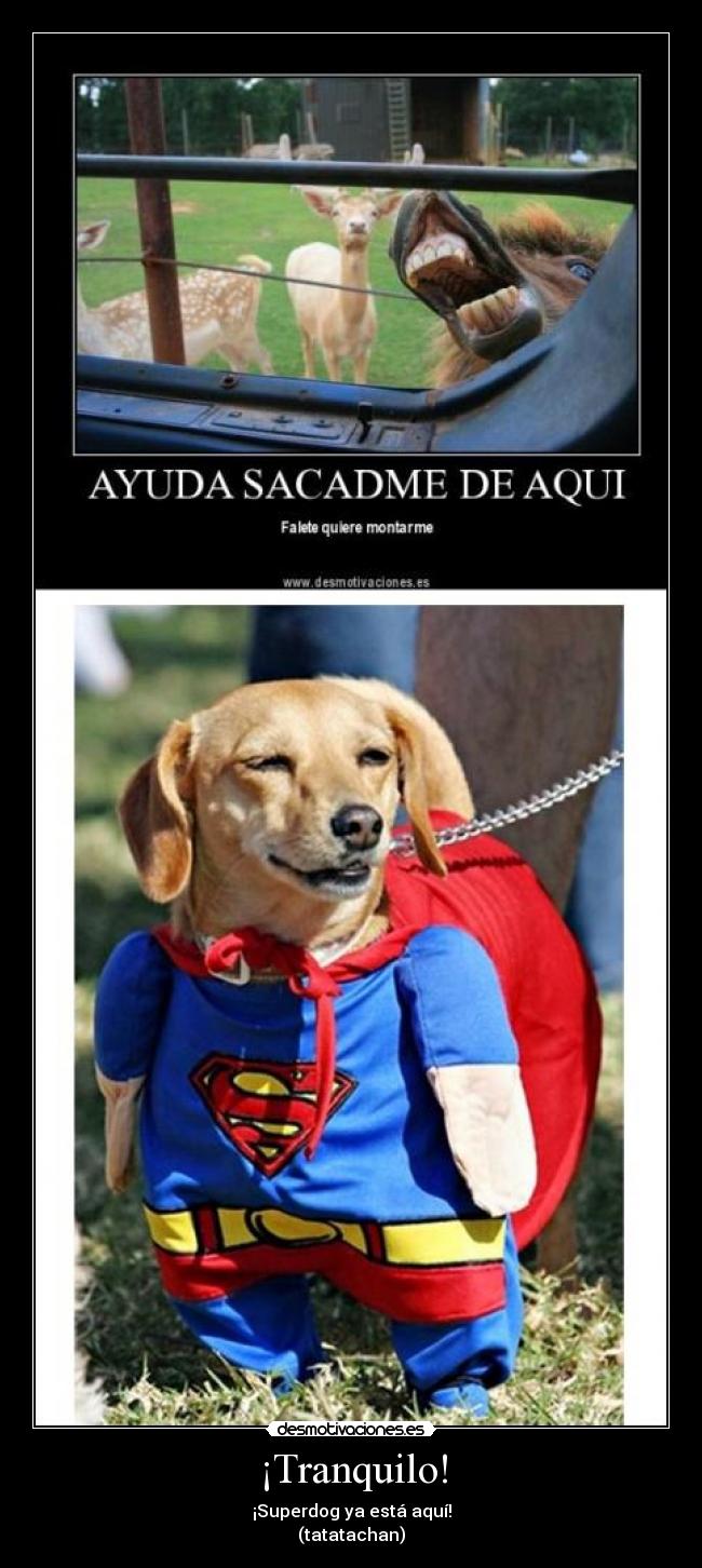 ¡Tranquilo! - ¡Superdog ya está aquí!
(tatatachan)