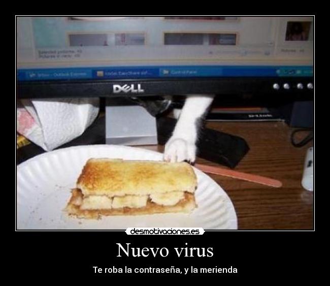 Nuevo virus - 