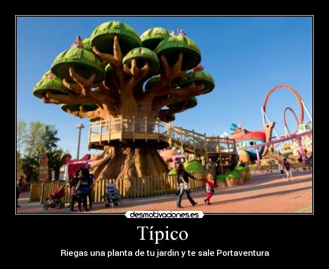 Típico - Riegas una planta de tu jardin y te sale Portaventura