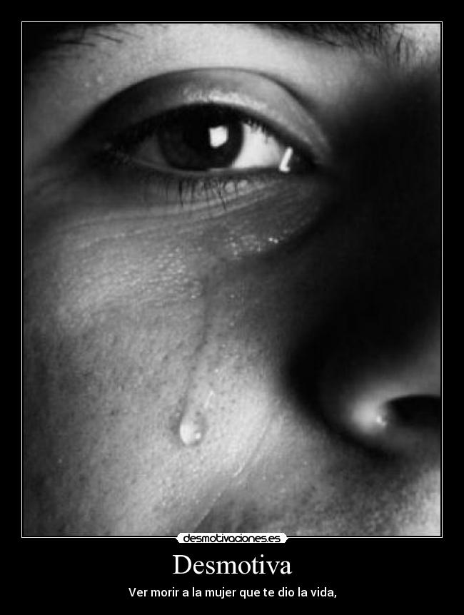 carteles muerte llorar etc desmotivaciones